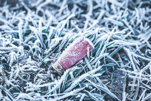 shotgun rifle ammunition lies frozen in grass on the ground
