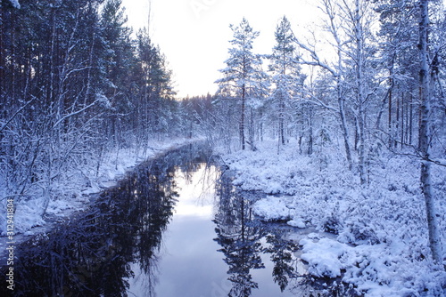 A small river flowing through forest in winter © Risto