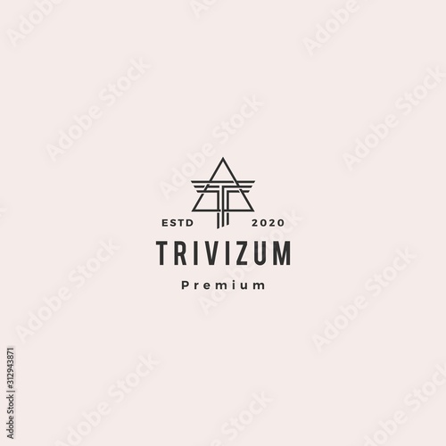 t letter triangle logo hipster vintage retro icon symbol