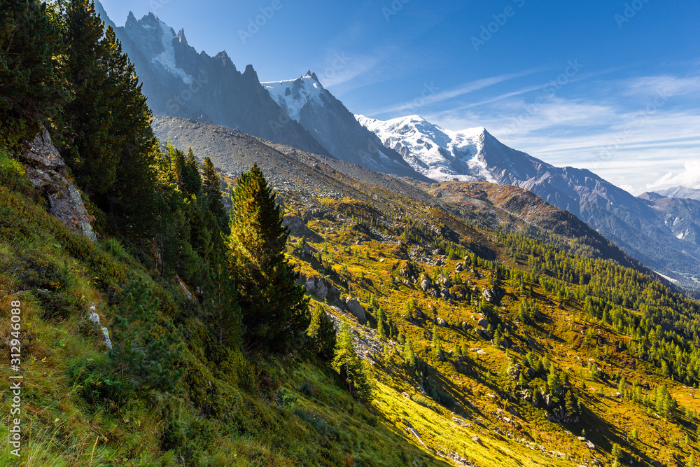 Forest slopes Mont Blanc mountain summit landscape, Chamonix.