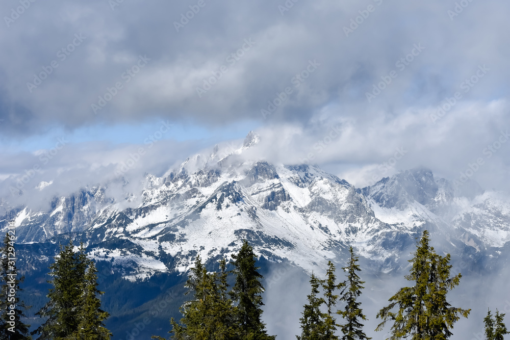 Tannenbäume und Berge und Wolken im Hintergrund