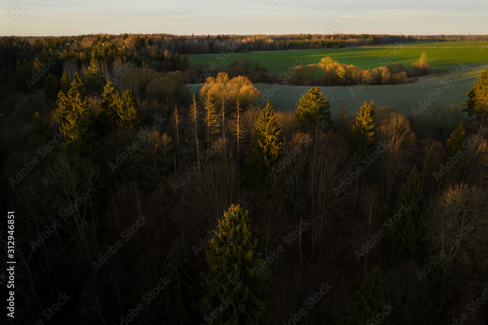 Fototapeta premium Sunrise over the forest and green fields