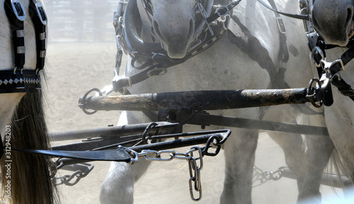 Closeup of traces connecting horses during a competition. photo
