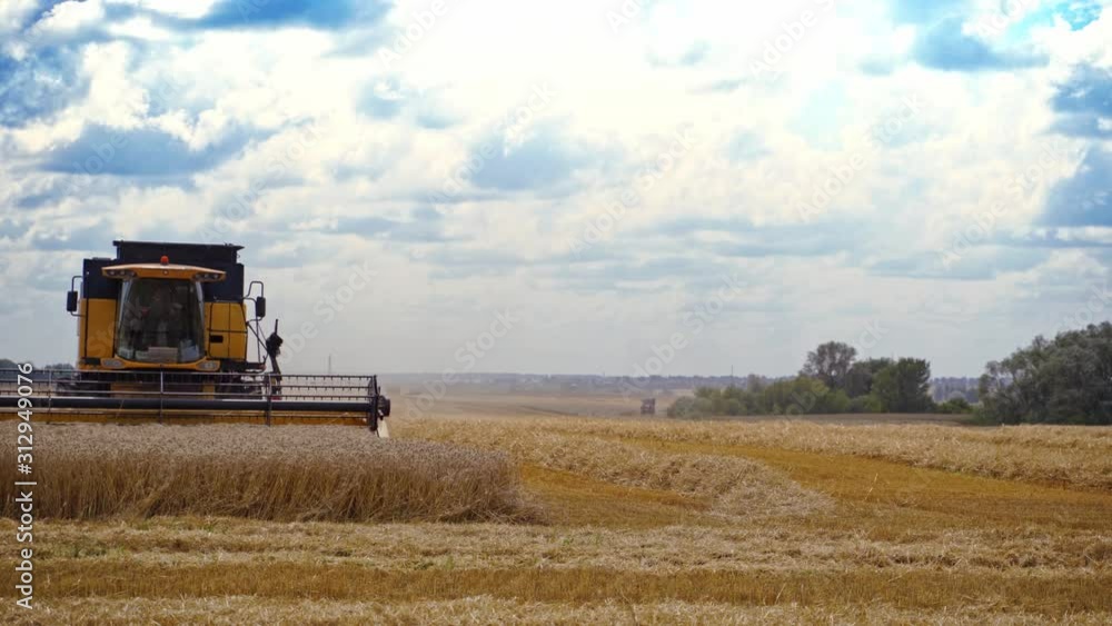 Combine harvester gathers yellow wheat. Modern machine cutting wheat spikelets in a bright summer day. Harvesting grain field at crop season. Combine harvester gathers yellow wheat. Modern machine cutting wheat spikelets in a bright summer day. Harvesting grain field at crop season.