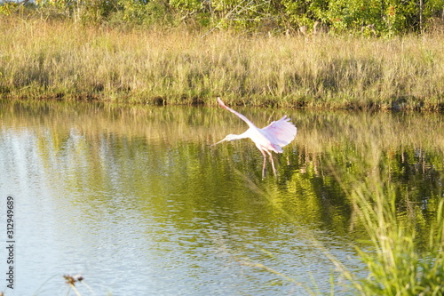 benefits of nature walks