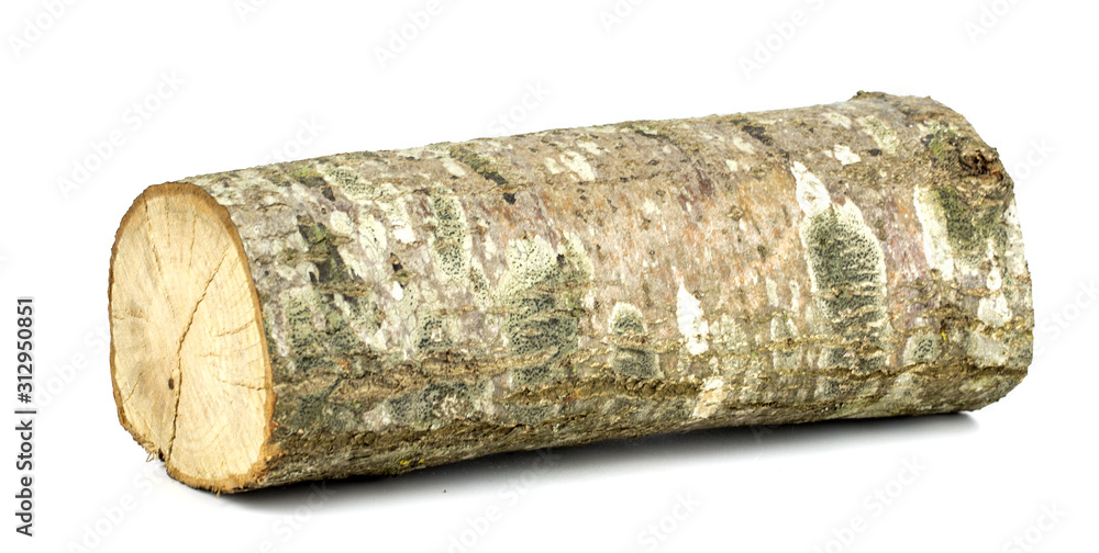 Fototapeta premium Wooden obsolete log. Isolated on a white