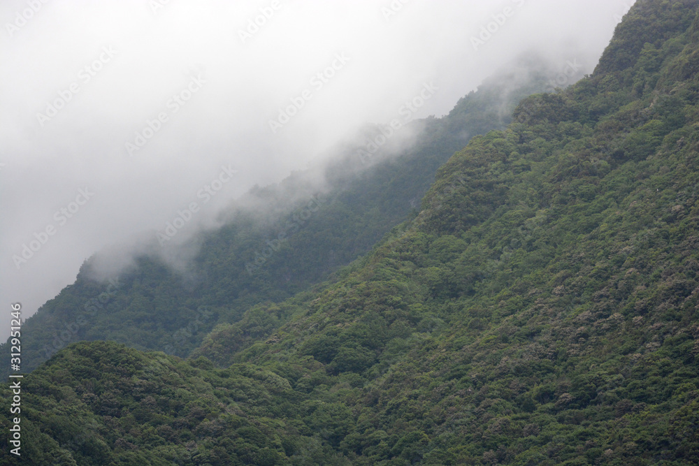 along the wild coast of Madeira, Portugal