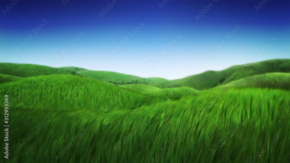 Green Grass in the breeze. Idyllic landscape with hills. Loopable. Nature background. More options in my portfolio. Green Grass in the breeze. Idyllic landscape with hills. Loopable. Nature background. More options in my portfolio.