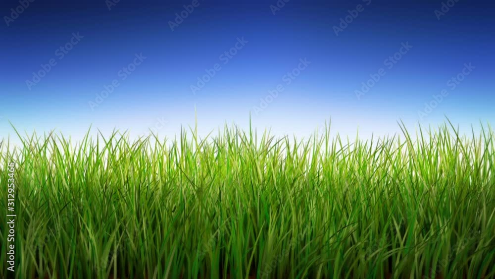 Green Grass in the breeze. Loopable, with alpha matte. Long grass waving in the breeze. Nature background. More options in my portfolio. Green Grass in the breeze. Loopable, with alpha matte. Long grass waving in the breeze. Nature background. More options in my portfolio.