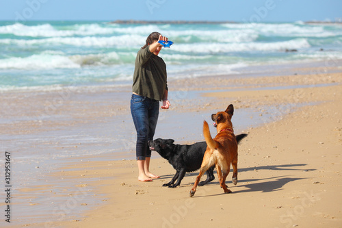 Teenage girl playing with her dogs on the beach.