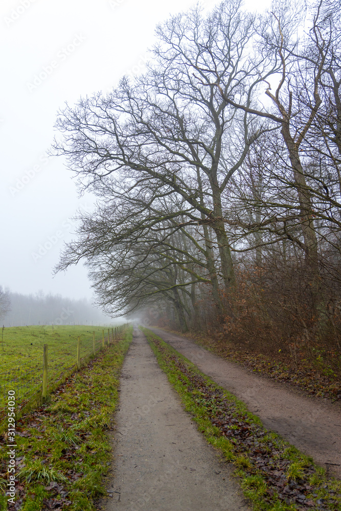 Early morning fog along the trail in the public nature reserve 