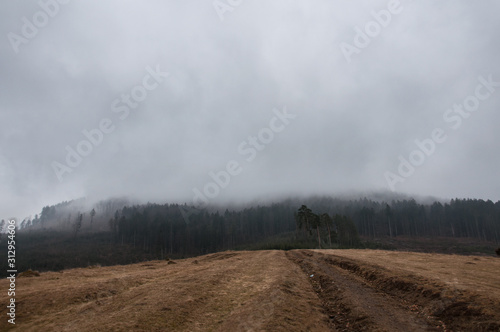 landscape with road and clouds © OlhaMykhalska