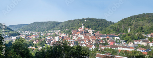aerial cityscape of green valley and historical town, Horb am Neckar, Germany