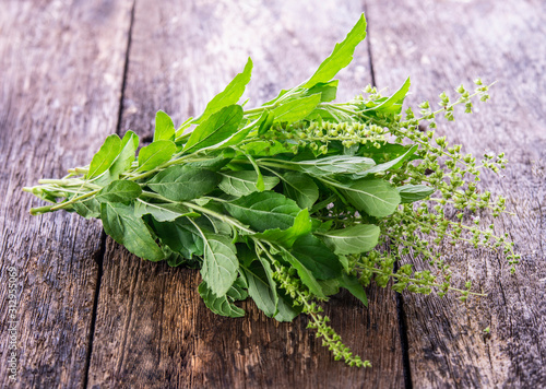 brunch of holy basil leaf on wooden board