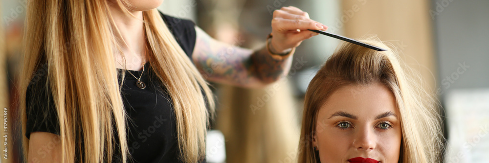 Professional Hairdresser Combing Girl Client Hair Professional Hairdresser Combing Girl Client Hair
