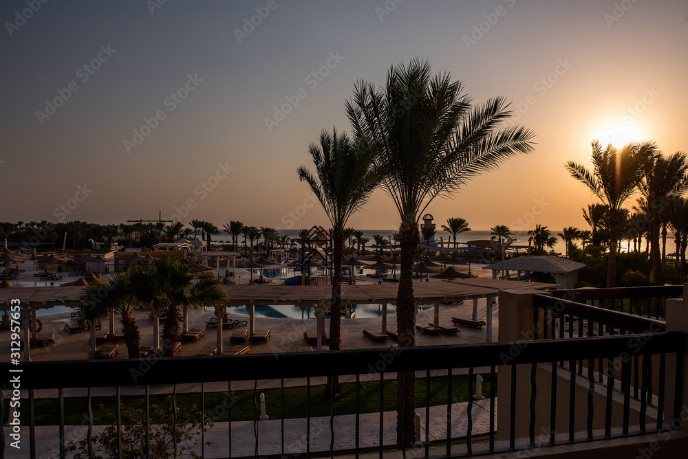 Obraz premium Beautiful landscape with palm trees
