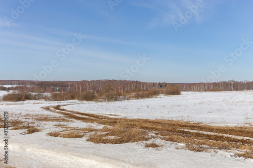 A dirt road runs through the field and along the edge of the forest. The photo was taken on a Sunny day in early spring. Vladimir region, Russia.