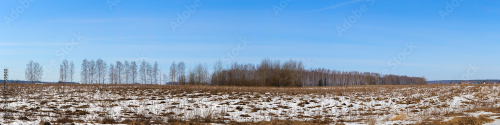 Panorama of a wild field located on the edge of a birch forest. The photo was taken on a Sunny day in early spring. Vladimir region, Russia. Panorama of a wild field located on the edge of a birch forest. The photo was taken on a Sunny day in early spring. Vladimir region, Russia.