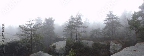 Bohemian paradise in foggy weather, Besedicke skaly, Mala skala, Czech republic