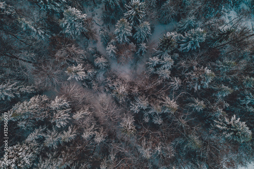 Aerial view of forest from aerial view, amazing winter scene, christmas theme, winter background. © Niko_Dali
