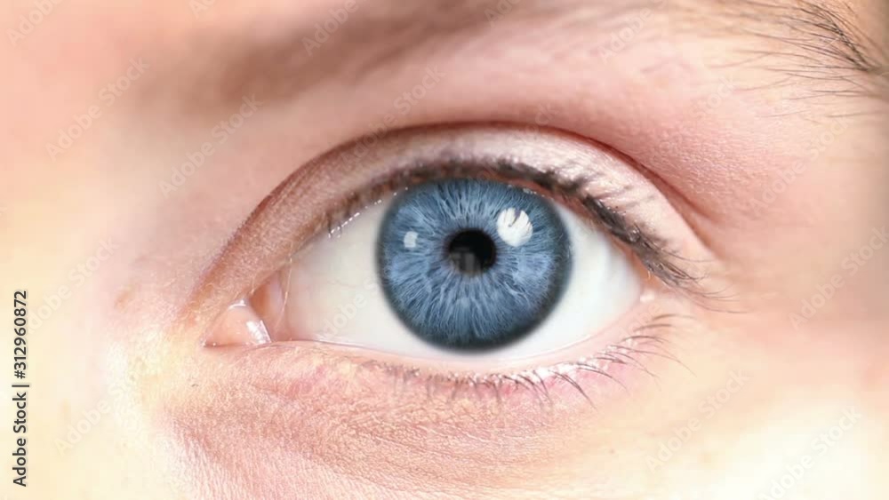 Female Eye. Blue and multicolored. Regular and white. 2 in 1. Close-up of a colored eye blinking. Each video is loopable. More options in my portfolio. Female Eye. Blue and multicolored. Regular and white. 2 in 1. Close-up of a colored eye blinking. Each video is loopable. More options in my portfolio.