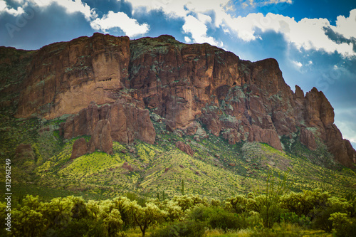 Arizona Wilderness