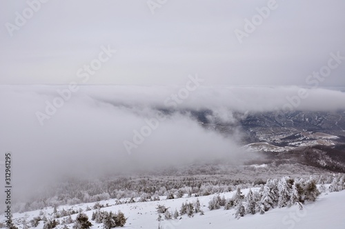 winter landscape with mountains and fog