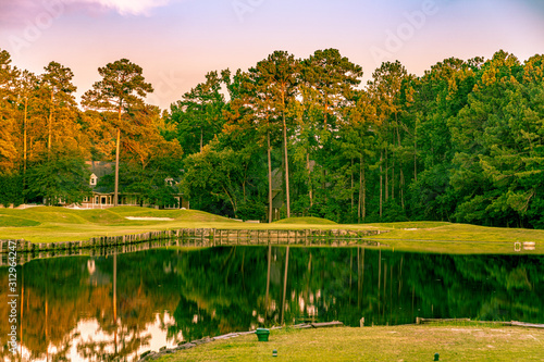 Golf course island green par 3 hole