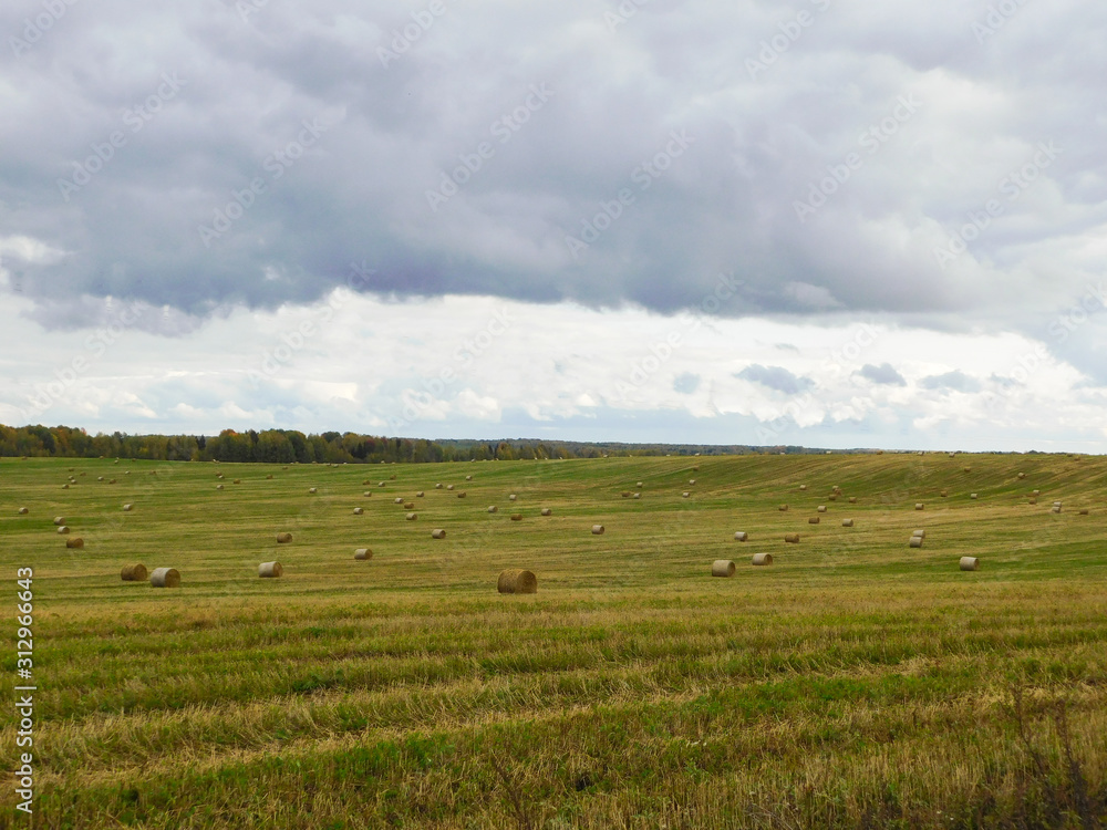 Autumn landscape. Hay rolls on the field