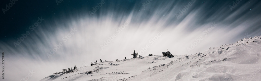 scenic view of mountain covered with snow and pine trees against dark sky in evening with white cloud, panoramic shot - obrazy, fototapety, plakaty 