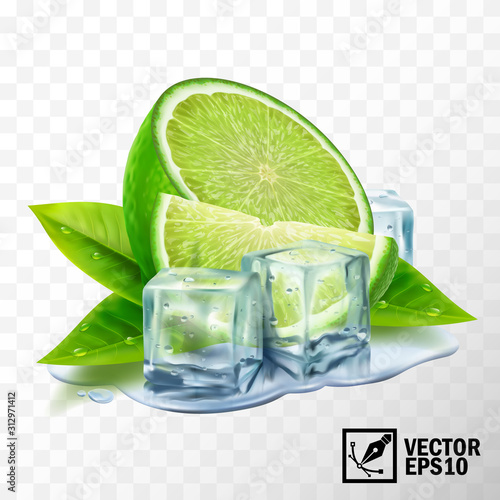 3D realistic vector set of elements lime with mint or tea leaves and ice cubes, half lime, sliced lime, leaves, puddle water