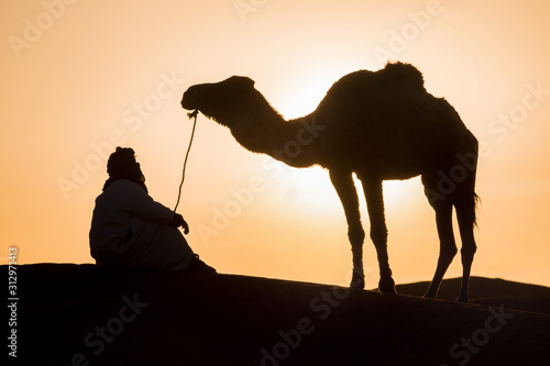 Canvas-taulu Bedouin and camel on way through sandy desert Beautiful sunset with caravan on S