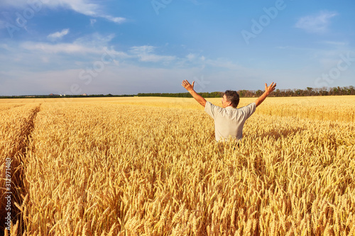 Farmer walking through a golden wheat field