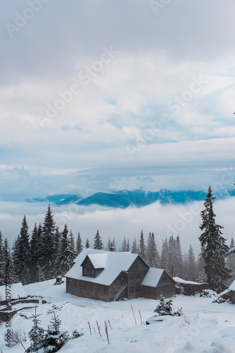 Scenic view of snowy mountain village with pine trees and wooden houses