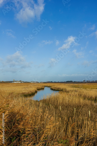 A view of the Christchurch (UK) harbor with yellow reed and water in the foreground and houses and church in the background under a majestic blue sky and some white clouds © Dolwolfian