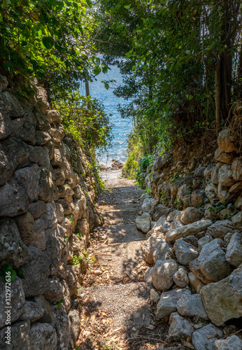 Stone stairs in a forest leading to the ocean. Mlini, Croatia.