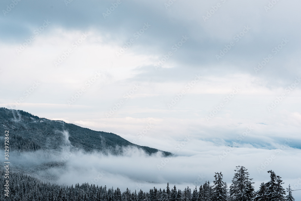 Fototapeta premium scenic view of snowy mountains with pine trees and white fluffy clouds