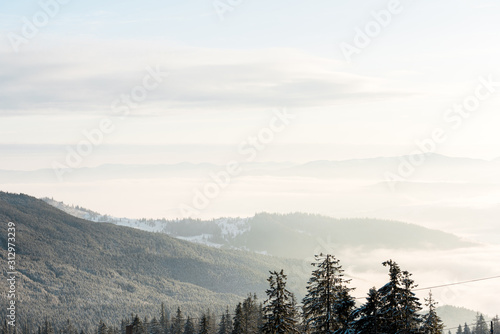 scenic view of snowy mountains with pine trees in sunlight
