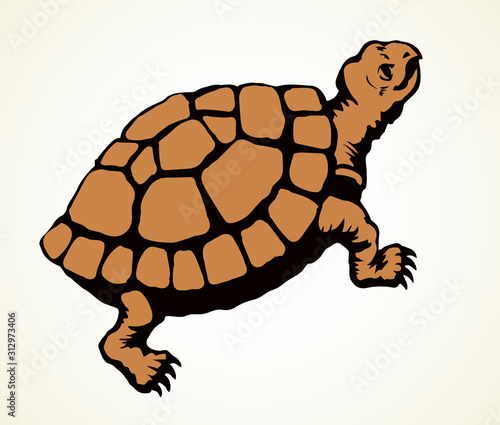 The little turtle is crawling. Vector drawing