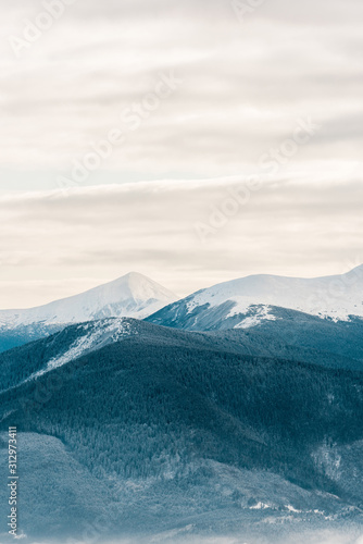 Scenic view of snowy mountains with pine trees in white fluffy clouds