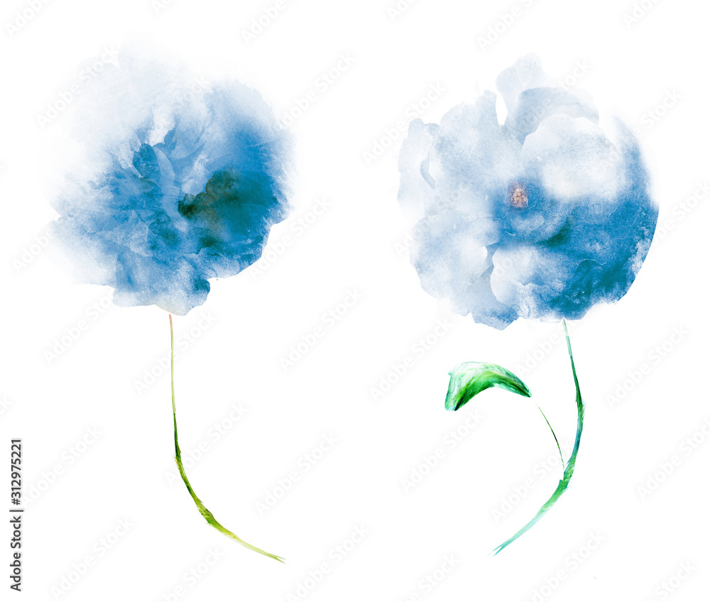 Obraz premium Watercolor flowers , isolated on white background