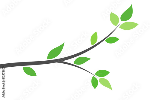 Silhouette of a branch with green leaves. Young tree. Spring background concept.