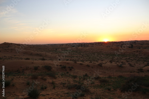 sunset in desert with sand dunes  rare green grass  pink and blue sky