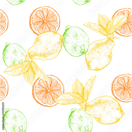 A pattern of citrus slices on an isolated background. Hand drawing lemon, lime, orange. Vector. Concept: tea packaging; citrus cosmetics packaging concept; lemon aroma. Sketch. Isolated background.
