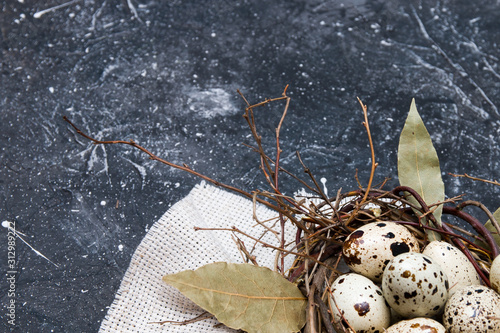quail eggs in a nest of twigs with bay leaf on a dark background copy space