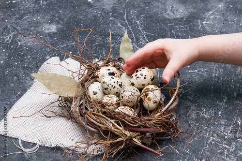 children's hand lays a quail egg in a decorative nest of branches on a dark background copy space, easter background