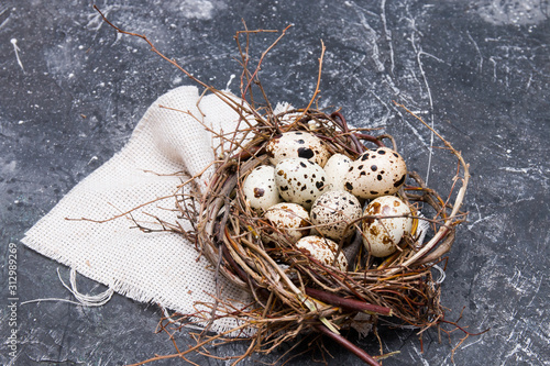 quail eggs in a nest of branches on a black background copy space. Easter background, close-up