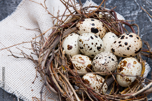 quail eggs in a nest of twigs with bay leaf on a dark background copy space.