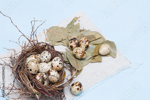 quail eggs in a nest of branches on a blue background, light fabric, several eggs on a litter of bay leaves, Easter background, copy space