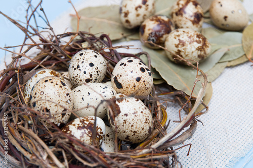 quail eggs in a nest of branches on a blue background, light fabric, Easter background, natural nutrition, bay leaf